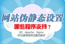 网站程序有伪静态功能的程序有哪些？